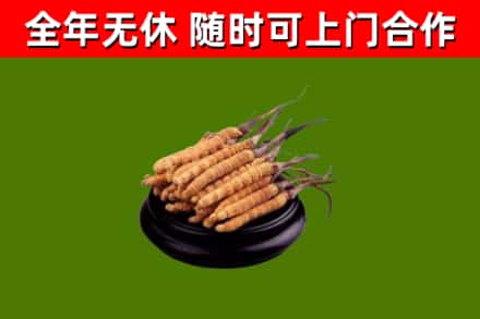 尧都区烟酒回收冬虫夏草.jpg