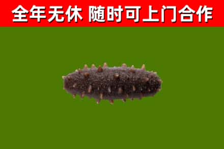 尧都区烟酒回收干海参.jpg